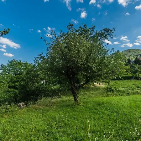 Idyllic House For Two Holiday home *